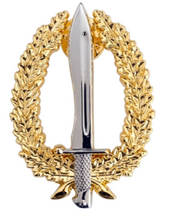 Distintivo de pecho del curso de Operaciones Especiales