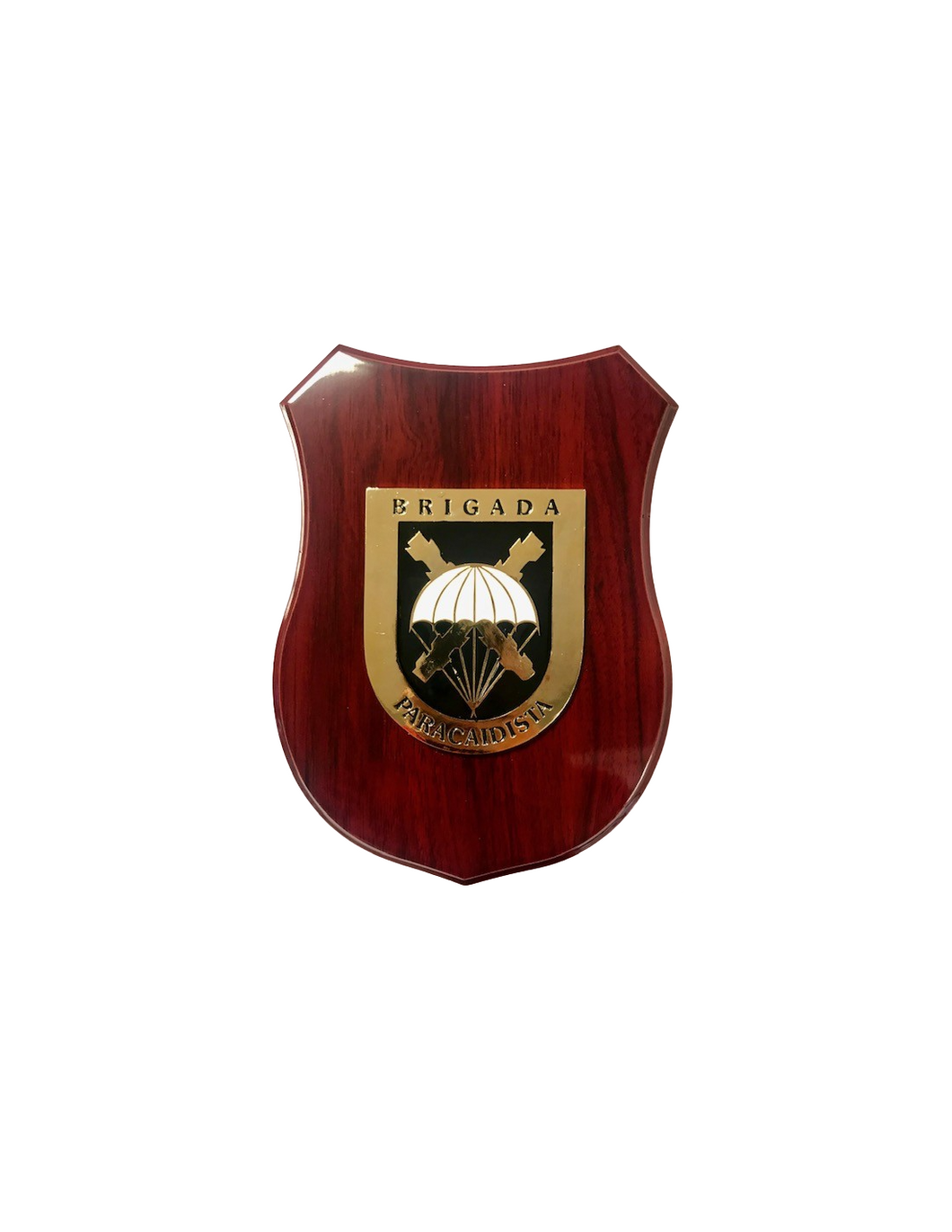 Metopa Brigada Paracaidista
