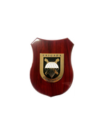 Metopa Brigada Paracaidista