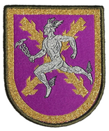 Parche de brazo de bonito Brigada de Transmisiones MATRANS