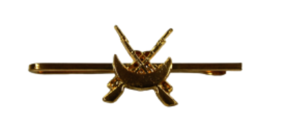 Pisacorbata Regulares