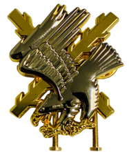 Distintivo Permanencia en la Brigada Galicia VII BRILAT