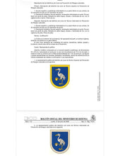 Distintivo de curso Técnico Superior de Prevención de Riesgos Laborales (PRL)