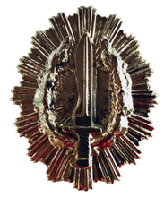 Placa cartera metalica