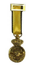 Medalla Miniatura Conmemorativa Dana 2024