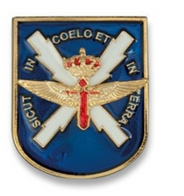 Distintivo de Permanencia Fuerzas Aeromóviles FAMET