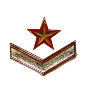 Galón de Boina metálico Subteniente Ejército de Tierra