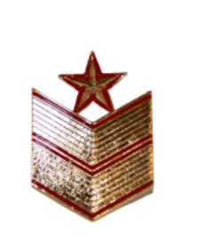 Galón de Boina metálico Suboficial Mayor Ejército de Tierra