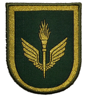 Parche de brazo de Bonito Brigada Logística