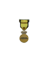 Medalla Conmemorativa Dana 2024 "Sin pasador"