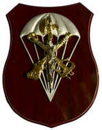 Metopa Cristo Legionario Paracaidista