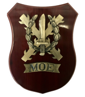 Metopa Mando Operaciones Especiales MOE