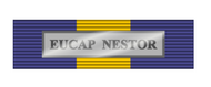 Pasador de Condecoración Medalla de la UE Operaciones ( EUCAP NESTOR )