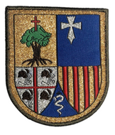 Parche de brazo de Bonito Aragón I B.O.P