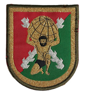 Parche de Brazo de Bonito del Mando de de Apoyo a la Maniobra (MAM)