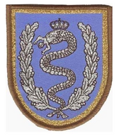 Parche de brazo de bonito Brigada de Caballería "Castillejos" II