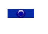 Pasador de Condecoración Cruz del Combatiente Europeo (Francia)