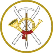 Pin Ejercito de Tierra bisel plateado de Varios Cuerpos