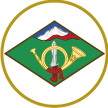 Pin Ejercito de Tierra bisel plateado de Varios Cuerpos