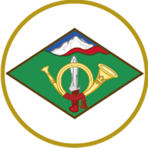 Pin Ejercito de Tierra bisel plateado de Varios Cuerpos