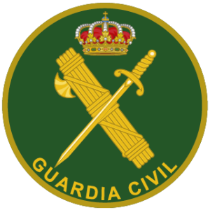 Pin Ejercito de Tierra bisel plateado de Varios Cuerpos