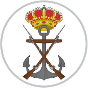 Pin Ejercito de Tierra bisel plateado de Varios Cuerpos