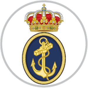 Pin Ejercito de Tierra bisel plateado de Varios Cuerpos