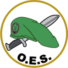 Pin Ejercito de Tierra bisel plateado de Varios Cuerpos