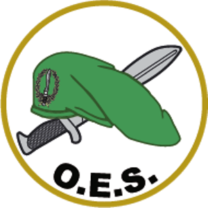 Pin Ejercito de Tierra bisel plateado de Varios Cuerpos