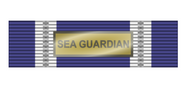 Pasador de Condecoración Medalla de la Otan (SEA GUARDIAN)