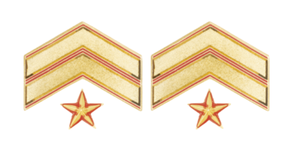 Galón metálico SUBOFICIAL MAYOR (Par)