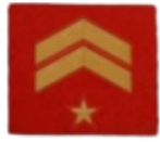 Parches chandal gimnasia rojo