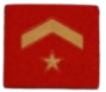 Parches chandal gimnasia rojo