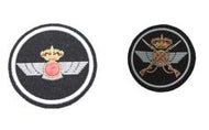 Parche del Ejercito del Aire